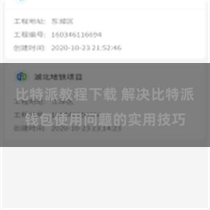 比特派教程下载 解决比特派钱包使用问题的实用技巧