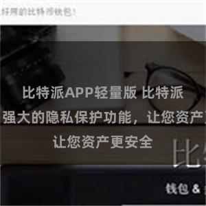 比特派APP轻量版 比特派钱包：强大的隐私保护功能，让您资产更安全