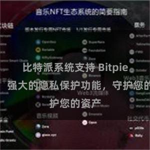 比特派系统支持 Bitpie钱包：强大的隐私保护功能，守护您的资产