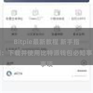 Bitpie最新教程 新手指南：下载并使用比特派钱包必知事项