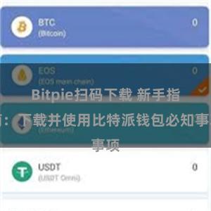 Bitpie扫码下载 新手指南：下载并使用比特派钱包必知事项