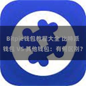 Bitpie钱包教程大全 比特派钱包 VS 其他钱包：有何区别？