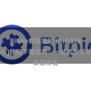 Bitpie教程地址 比特派(Bitpie)钱包下载指南：一站式安装体验