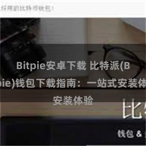 Bitpie安卓下载 比特派(Bitpie)钱包下载指南：一站式安装体验