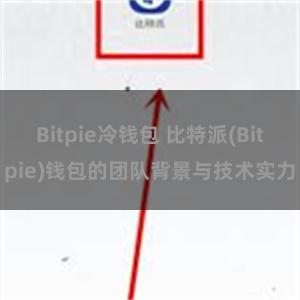 Bitpie冷钱包 比特派(Bitpie)钱包的团队背景与技术实力