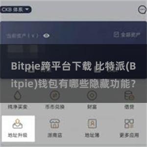 Bitpie跨平台下载 比特派(Bitpie)钱包有哪些隐藏功能？