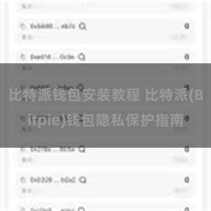 比特派钱包安装教程 比特派(Bitpie)钱包隐私保护指南