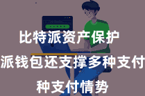 比特派资产保护  比特派钱包还支撑多种支付情势