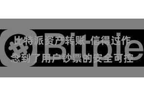 比特派资产转账  信得过作念到了用户钞票的安全可控