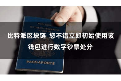 比特派区块链  您不错立即初始使用该钱包进行数字钞票处分