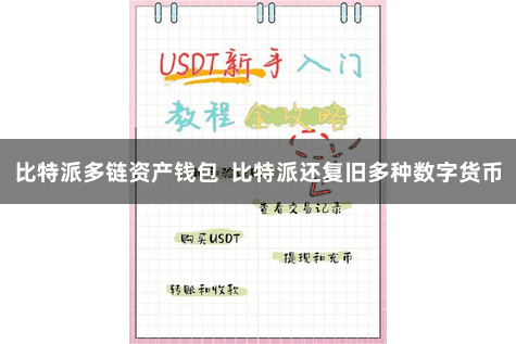 比特派多链资产钱包  比特派还复旧多种数字货币