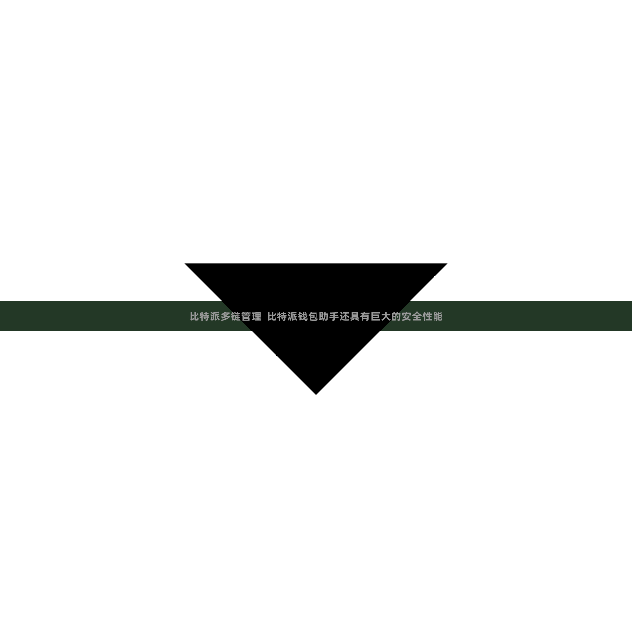 比特派多链管理  比特派钱包助手还具有巨大的安全性能