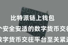 比特派链上钱包  选拔一个安全安适的数字货币交往平台至关紧迫